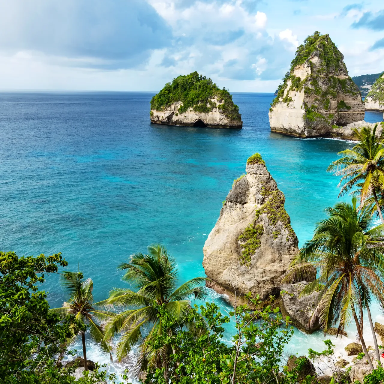 Bali Tropical Escape