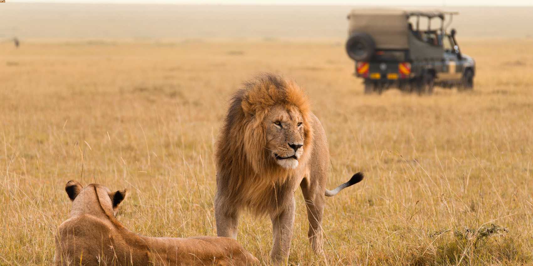 Maasai Mara October Safari Special